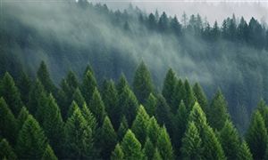 2024年中国社交电商行业发展现状及发展趋势(图2) 2024年中国社交电商行业发展现状及发展趋势(图2)