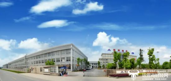 恒林股份董秘汤鸿雁23岁就当福建天马总裁办主任?怎么回事?(图1) 恒林股份董秘汤鸿雁23岁就当福建天马总裁办主任?怎么回事?(图1)