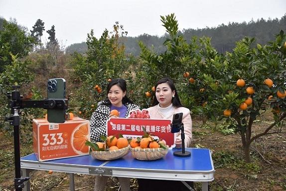 抓住机遇 自贡荣县电商经济跑出“加速度”(图2)